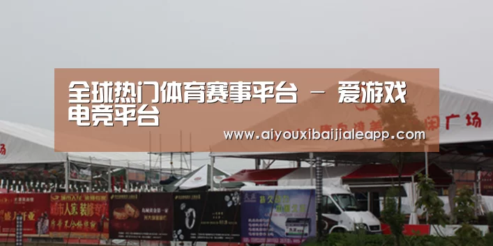 案例标题十