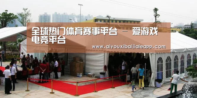 案例标题一(图1)