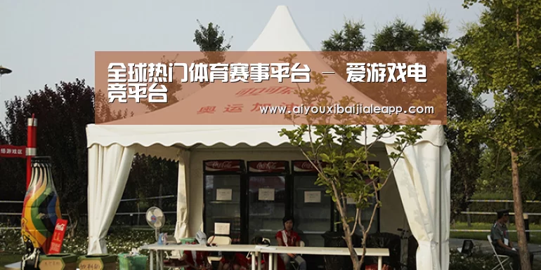 案例标题五