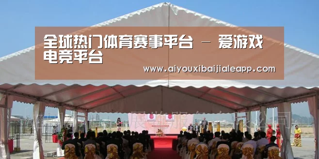 案例标题三