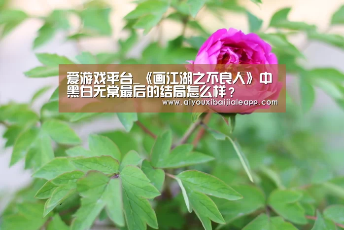 爱游戏平台_《画江湖之不良人》中黑白无常最后的结局怎么样?(图1) 爱游戏平台