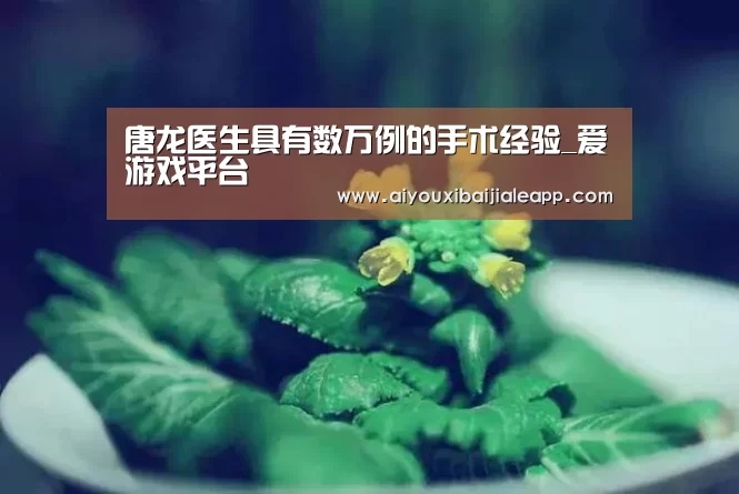 爱游戏赛事