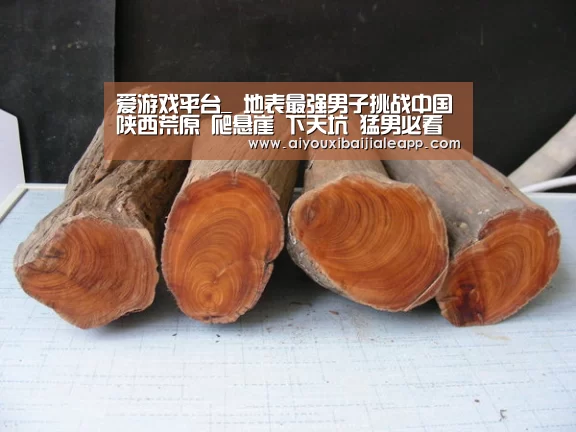 爱游戏平台_
地表最强男子挑战中国陕西荒原 爬悬崖 下天坑 猛男必看