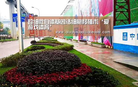 爱游戏赛事