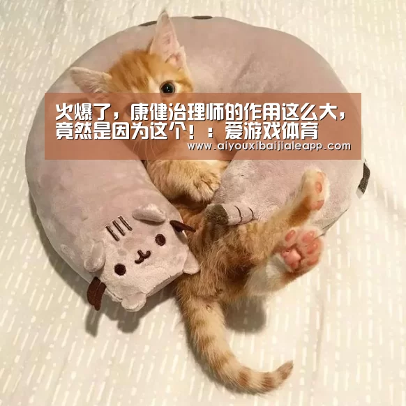 火爆了,康健治理师的作用这么大,竟然是因为这个!:爱游戏体育(图1) 爱游戏百家乐