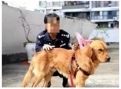 爱游戏体育:2019年昆明吸脂减肥正规整形医院医生排名 附整形价格表一览(图4) 爱游戏平台